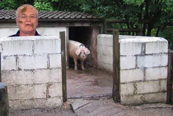 Deputatul PSD Eugen Nicolicea a fost dat afară și din cocina unui porc, pentru că-i mânca din troacă
