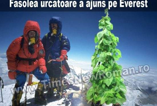 O tânără fasole urcătoare de origine română a ajuns pe Everest