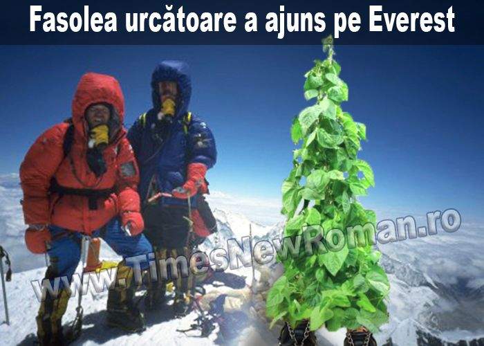 O tânără fasole urcătoare de origine română a ajuns pe Everest