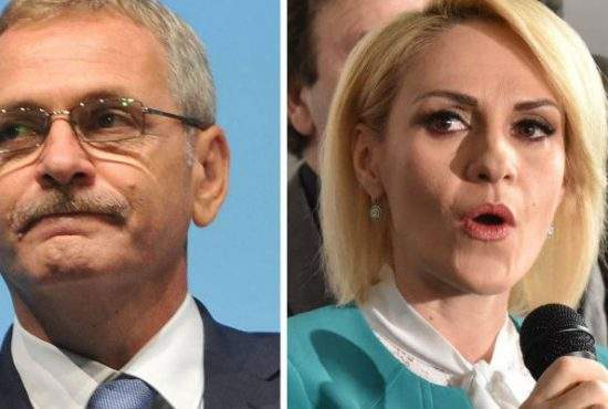 Război total. Firea renunţă la decizia de a redenumi Parcul Herăstrău din Regele Mihai în Parcul Liviu Dragnea