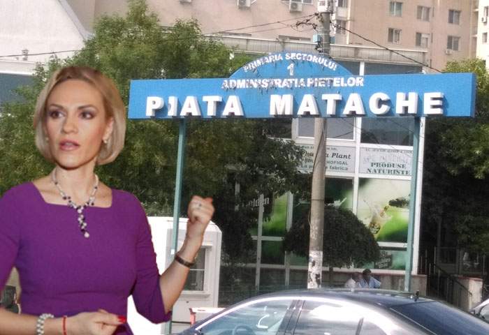 Gabi Firea explică: Dacă avem o piaţă numită după Delia Matache, de ce să nu avem un parc numit după Regele Mihai?