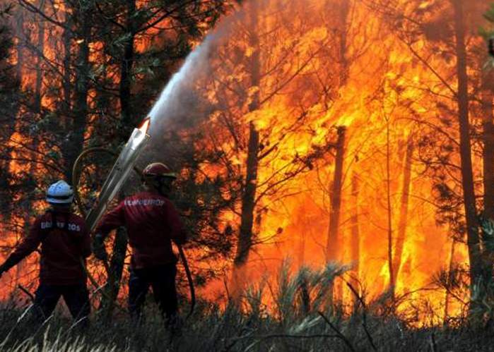 Flacăra democraţiei a incendiat mai multe hectare de pădure în judeţul Harghita
