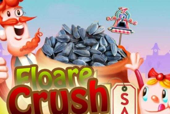 Producătorii Candy Crush anunţă două jocuri pentru piaţa românească: Floare Crush şi Bostan Crush