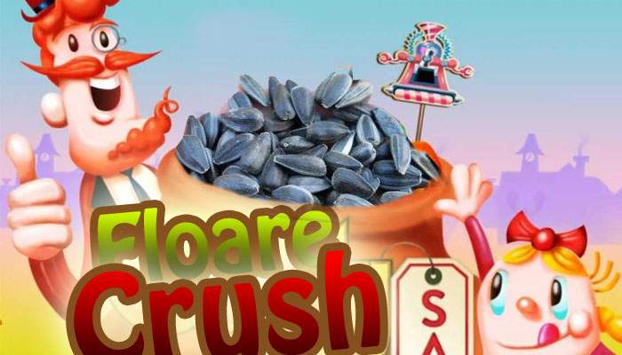 Producătorii Candy Crush anunţă două jocuri pentru piaţa românească: Floare Crush şi Bostan Crush