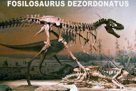 A fost descoperit Fosilozaurul, un dinozaur dezordonat care-şi lăsa oasele peste tot