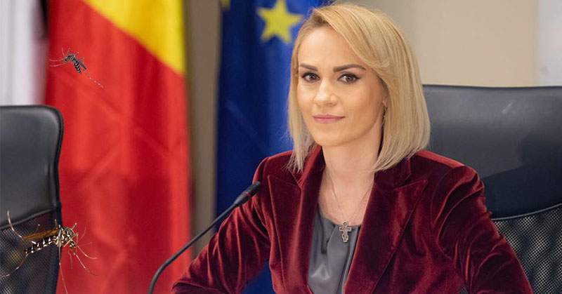 Gabi Firea ia în sfârşit măsuri împotriva ţânţarilor! Îi va da în judecată pe toţi