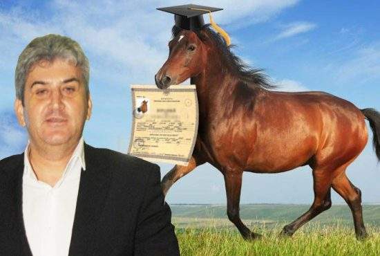 Caligula de România! După secretară și politicieni, Gabi Oprea i-a dat doctoratul și unui cal