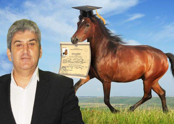 Caligula de România! După secretară și politicieni, Gabi Oprea i-a dat doctoratul și unui cal