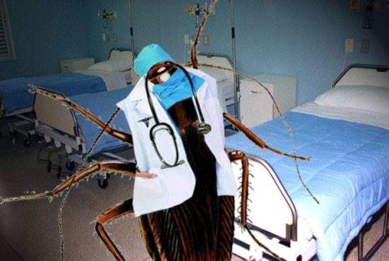 Într-un spital din România, gândacii sunt atât de mari încât îmbracă halate și se dau doctori