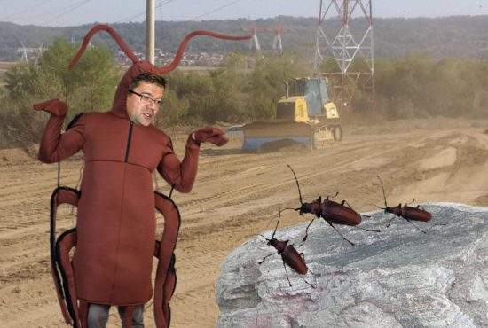 Ministrul Mediului va negocia, costumat în gândac, cu gândacii care blochează autostrada Sibiu