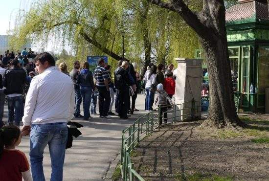 Căldură mare. E atât de aglomerat în Herăstrău că se dă admitere ca să intri în parc