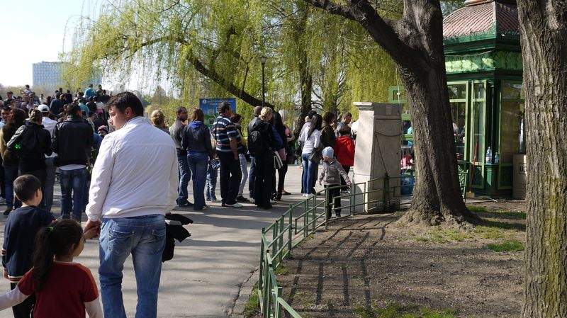 Căldură mare. E atât de aglomerat în Herăstrău că se dă admitere ca să intri în parc