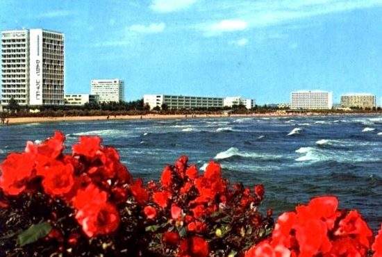 Hotel din Mamaia, închis pentru cruzime împotriva animalelor. Ţinea şobolanii în camere cu moldoveni