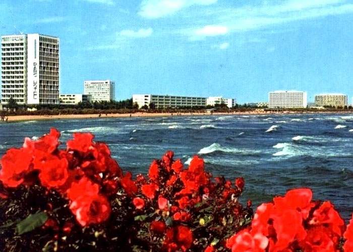 Hotel din Mamaia, închis pentru cruzime împotriva animalelor. Ţinea şobolanii în camere cu moldoveni