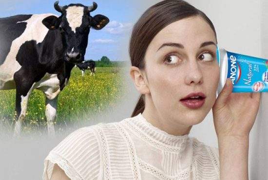 Legende! Dacă duci paharul de iaurt la ureche, auzi talanga vacii din laptele căreia e făcut
