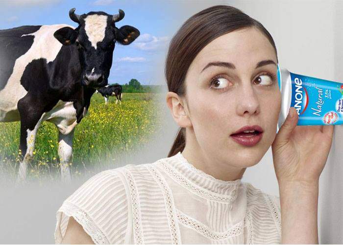 Legende! Dacă duci paharul de iaurt la ureche, auzi talanga vacii din laptele căreia e făcut