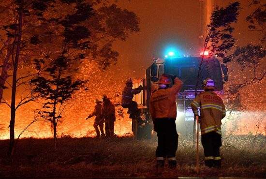 13 moduri în care România a încercat să ajute Australia cu incendiile alea