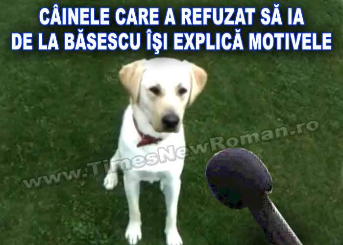 Exclusiv: câinele care n-a vrut să ia de la Băsescu își explică refuzul