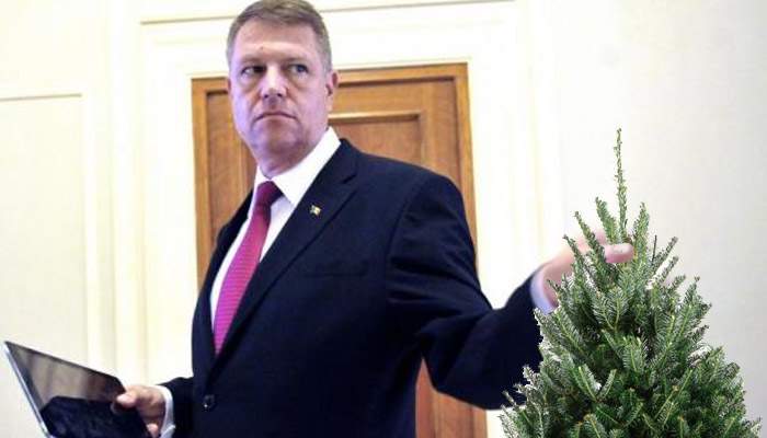 Eficienţă germană! Unii români ţin bradul până în februarie, Iohannis l-a aruncat deja