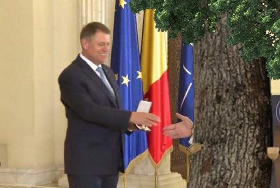 Klaus Iohannis, pas spre normalitate. A decorat copacul în care a intrat patronul Hexi cu maşina