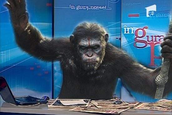 Zilele lui Mircea Badea sunt numărate: Savanții au dresat o maimuță să amenințe cu bătaia la TV
