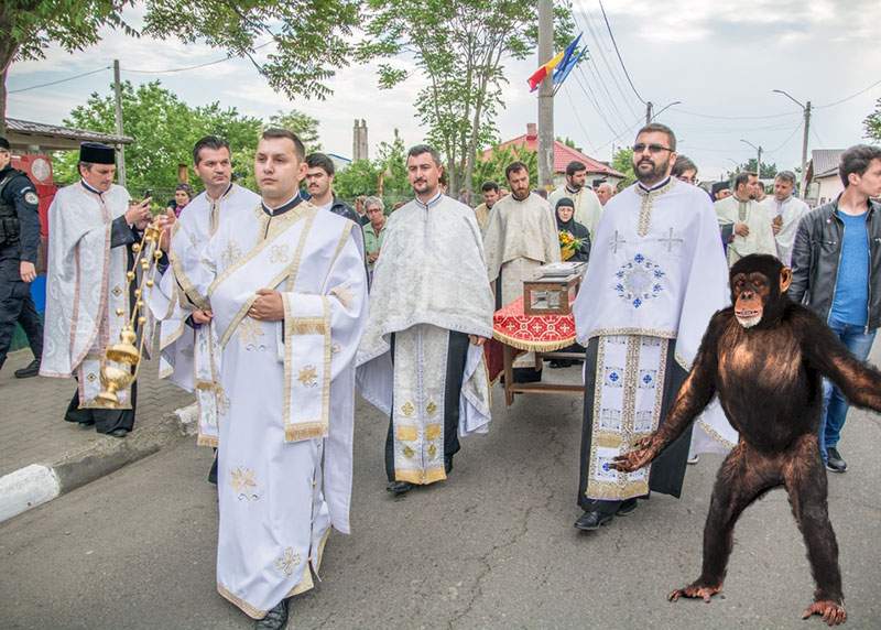 Brâul Maicii Domnului va fi dus și la Zoo Băneasa, să se bucure de el și maimuțele de-acolo, nu doar cele din Voluntari