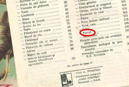 Manuale învechite. Deşi e o specie dispărută la noi, porcul încă apare în manualul de zoologie şi nu în cel de istorie