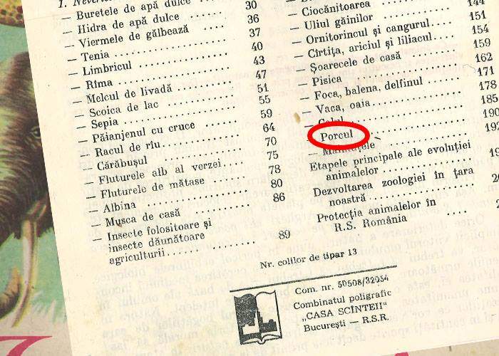 Manuale învechite. Deşi e o specie dispărută la noi, porcul încă apare în manualul de zoologie şi nu în cel de istorie