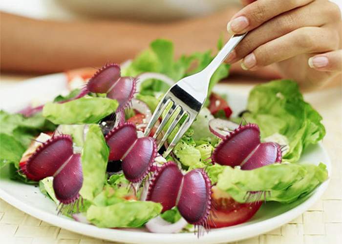 O vegetariană din Botoşani, surprinsă în timp ce mânca plante carnivore