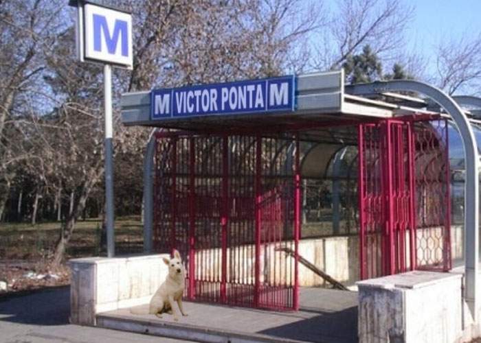 O stație de metrou din București va purta numele celui mai mare inventator român: Victor Ponta