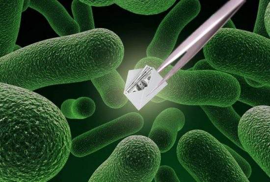 Savanţii români au inventat microşpaga! Le-o dai bacteriilor din spital şi te lasă în pace