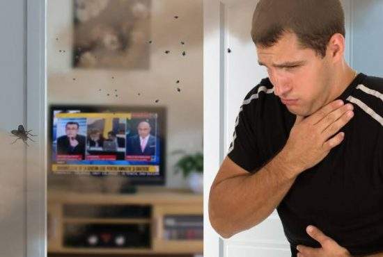 Un român a uitat televizorul deschis pe RTV și când s-a întors era un miros pestilențial în toată casa