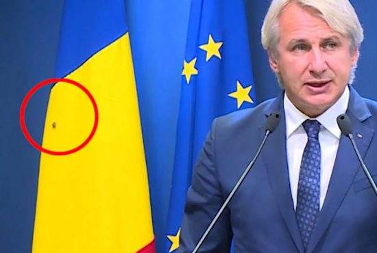 Guvernul României dezminte: Nu era gândac pe steag, era un muc!
