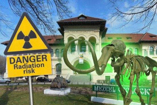 11 lucruri despre mamuţii radioactivi de la Muzeul de Geologie