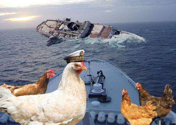 Gata cu aroganţa! Vaporul cu oi româneşti a fost scufundat de un vapor cu găini bulgăreşti