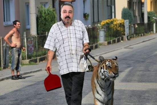 Sile Cămătaru, acuzat de vecini că nu strânge după tigri când îi scoate să-şi facă nevoile