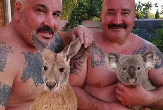 Suflet mare! Nuțu Cămătaru a salvat 3 koala, 2 canguri și 5 dingo din incendiile din Australia