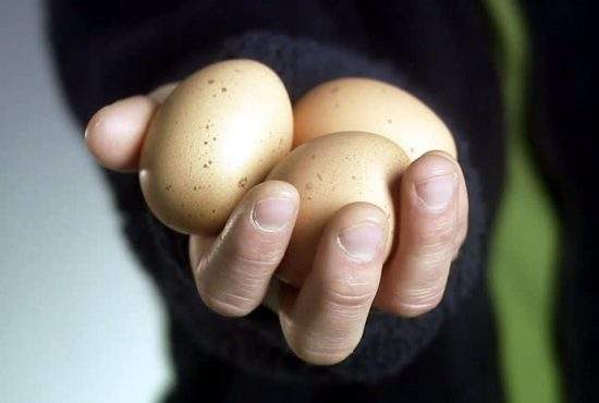 18 lucruri despre scumpirea ouălor