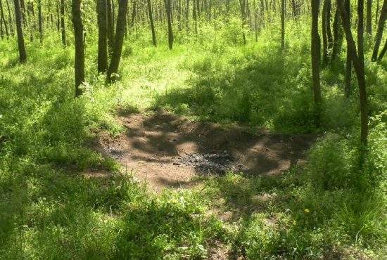 Bizar! A fost descoperită o zonă verde frecventată de turişti unde nu s-a aruncat nici un pet
