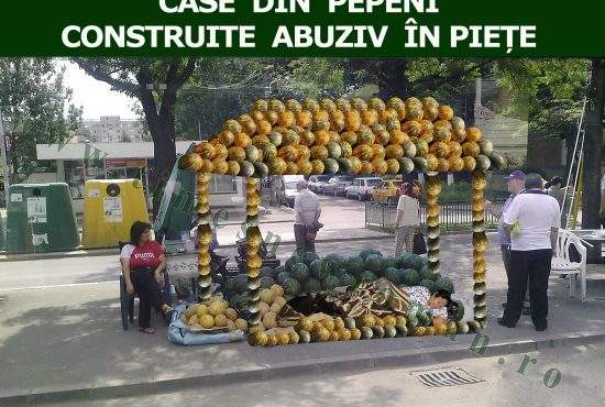 Vânzătorii de pepeni și-au construit case pe domeniul public