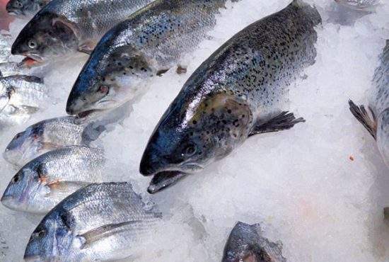 Alertă! Peștele congelat riscă să dispară din cauza încălzirii oceanelor
