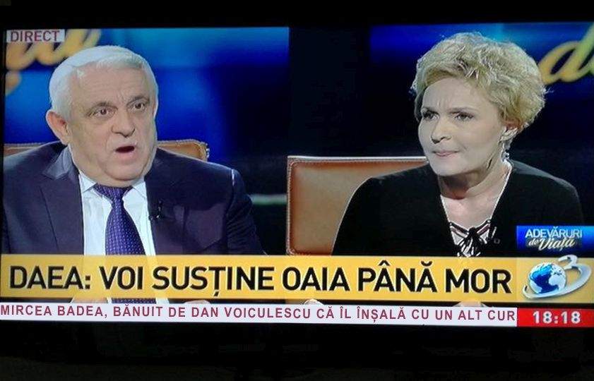 După tineri, ne pleacă și animalele! Tot mai multe oi pleacă din țară, deranjate de asocierea cu Petre Daea