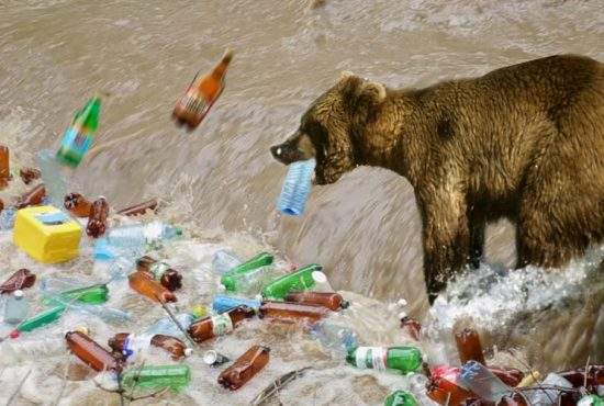Scrumbia de plastic! PET-ul de pe râul Olt a devenit marcă protejată la nivel european