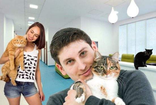 Angajaţii MedLife se plâng că mulţi pacienţi vin cu pisicile, că au auzit că au laser în clinică