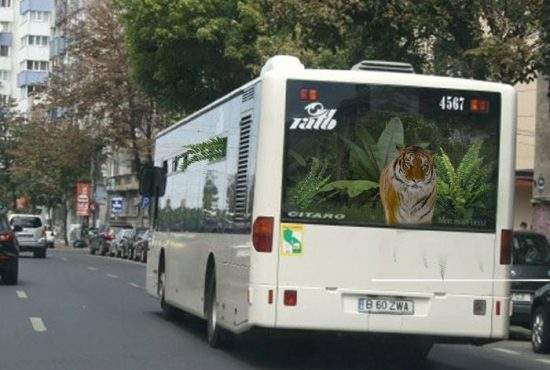 Efectul de seră! În autobuzele RATB au început să crească plante exotice populate de animale
