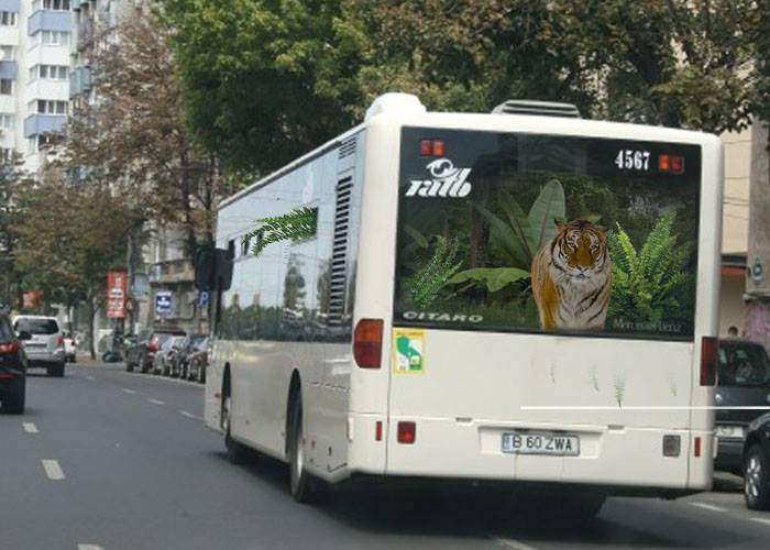 Efectul de seră! În autobuzele RATB au început să crească plante exotice populate de animale