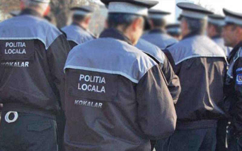 Gabi Firea achiziţionează din Turcia 400 de poliţişti locali marca Kokalar