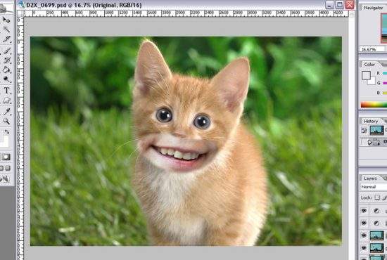 Adobe Photoshop lansează plugin-ul „Macovei”, cu care poţi ataşa un zâmbet forţat la absolut orice