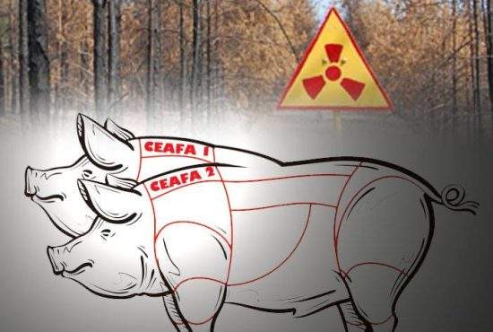 Românii regretă accidentul nuclear de la Cernobîl: ”În anul ăla am avut un porc cu două cefe!”