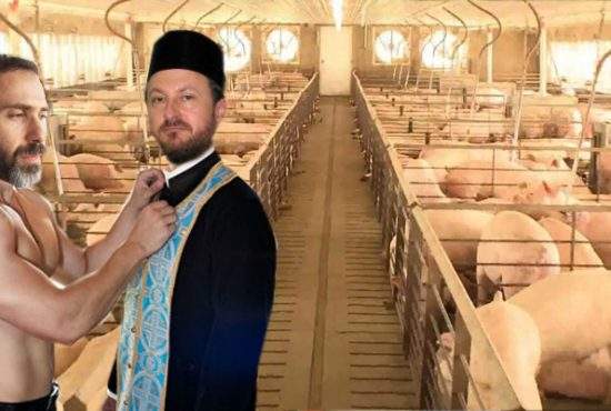Percheziţie la ferma de porci a lui Dragnea. Procurorii au găsit 2 preoţi care şi-o trăgeau în spatele clădirii